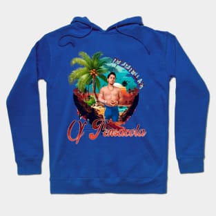 The Ayatollah of Pensacola Hoodie